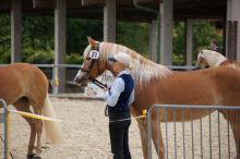 News20130525_47