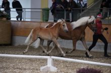 allgemein_04