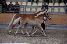 allgemein_07