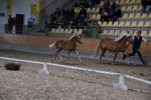 allgemein_14