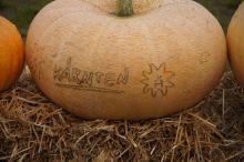 20140907_imp_07