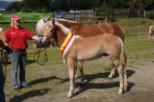News20140907_sieger_01