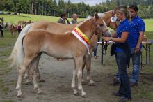 News20140907_sieger_04