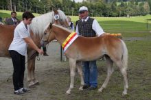 News20140907_sieger_03