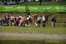 20140907_schau_01
