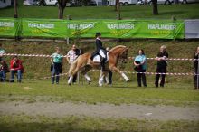 20140907_schau_02