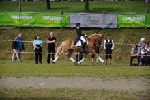 20140907_schau_03