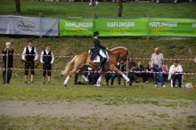 20140907_schau_04