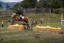 20140907_schau_05