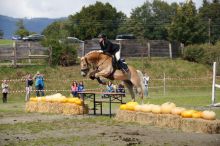 20140907_schau_07