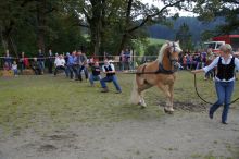 20140907_schau_09